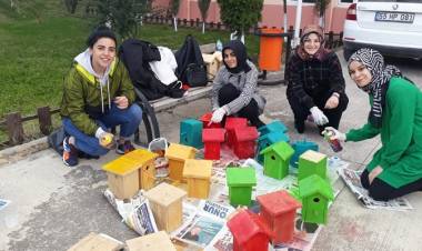 Kuş Yuvaları Misafirlerini Bekliyor