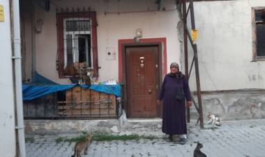 Evini, Sokak Hayvanları için Barınak Yaptı!