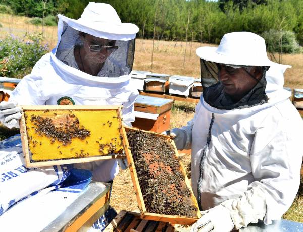 Arıcılar, Kimyasallara Karşı Uyarıldı