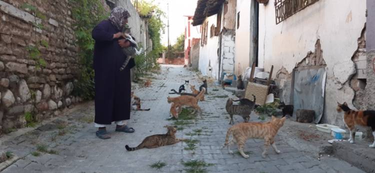 Evini, Sokak Hayvanları için Barınak Yaptı!