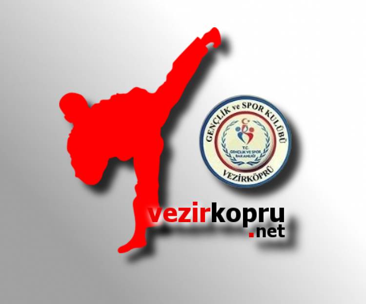 Vezirköprü GSK'ya Taekwondo'dan Beş Madalya Birden