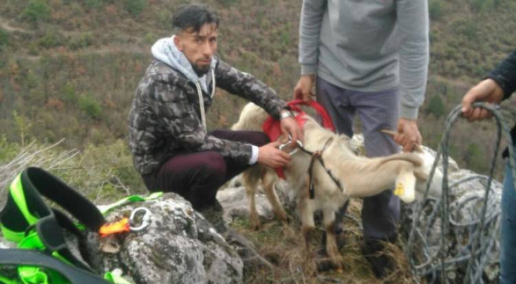 Karanar'da İtfaiye’nin Keçi Kurtarma Çalışması